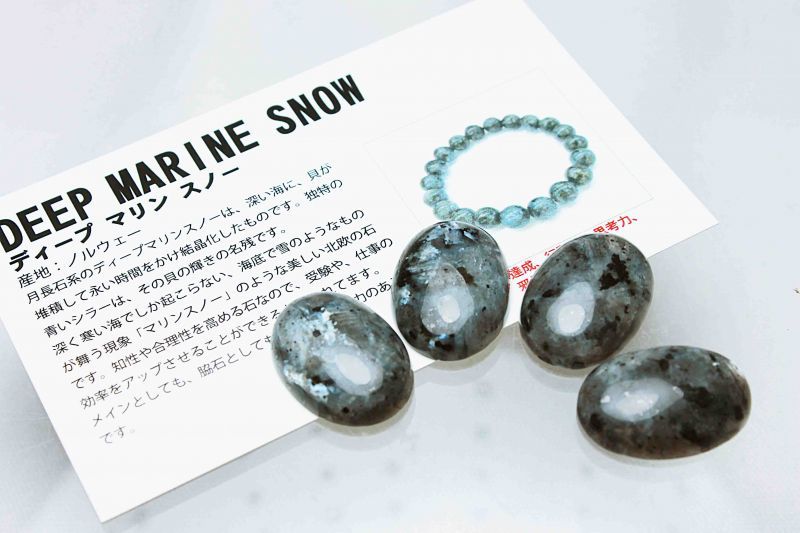 中:約22mm×16mm
