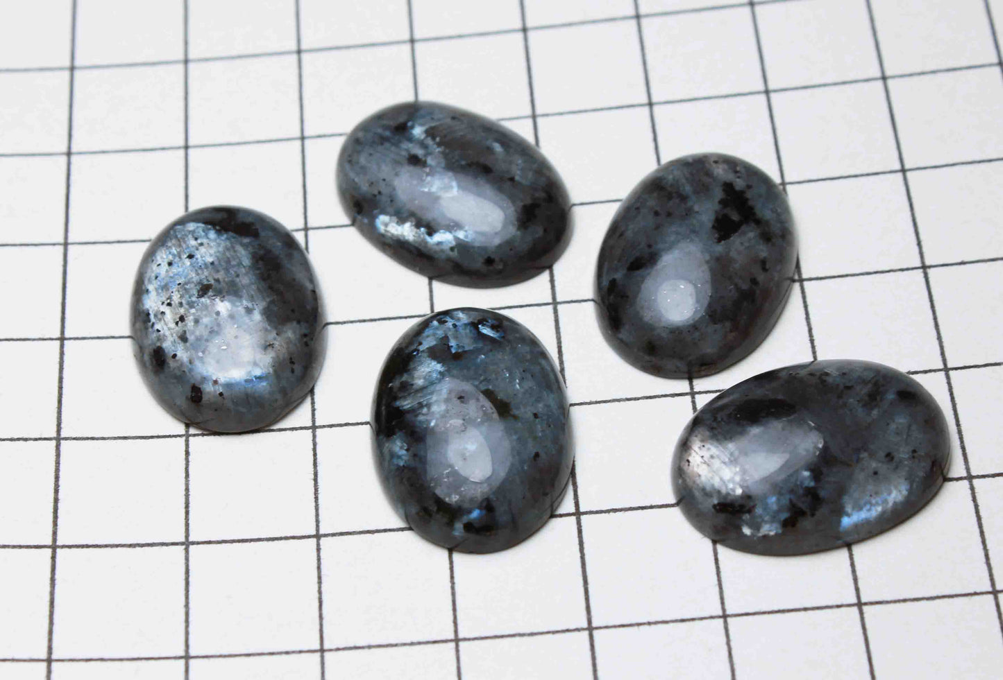 方眼紙比較(中:約22mm×16mm)
