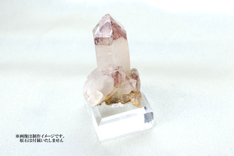 約3×3×1.5cm