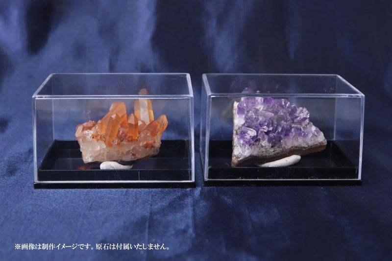 中横長(約4×5.5×3.2cm)