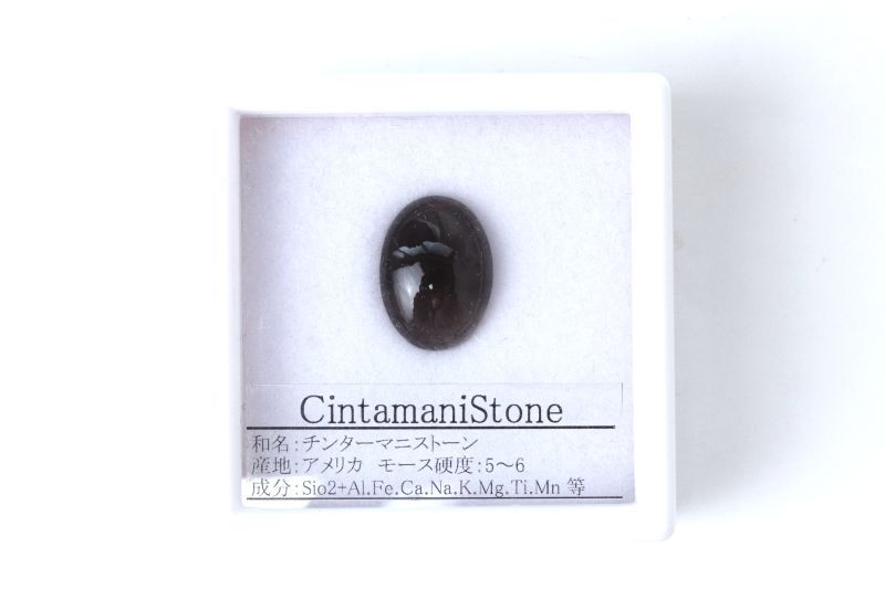 約9.9×6.1×16.7mmから13.4×6×17mm