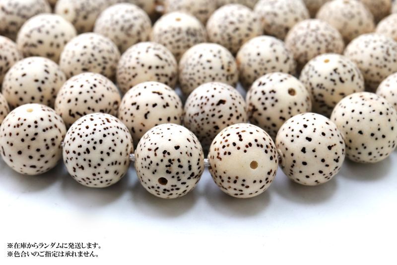 【パワーズウッド】連 星月菩提樹 <インド、インドネシア産> 丸
