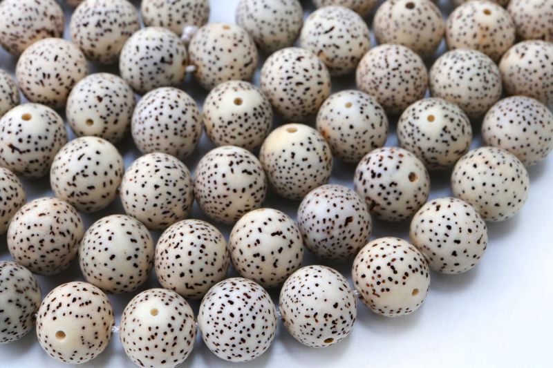 【パワーズウッド】連 星月菩提樹 <インド、インドネシア産> 丸