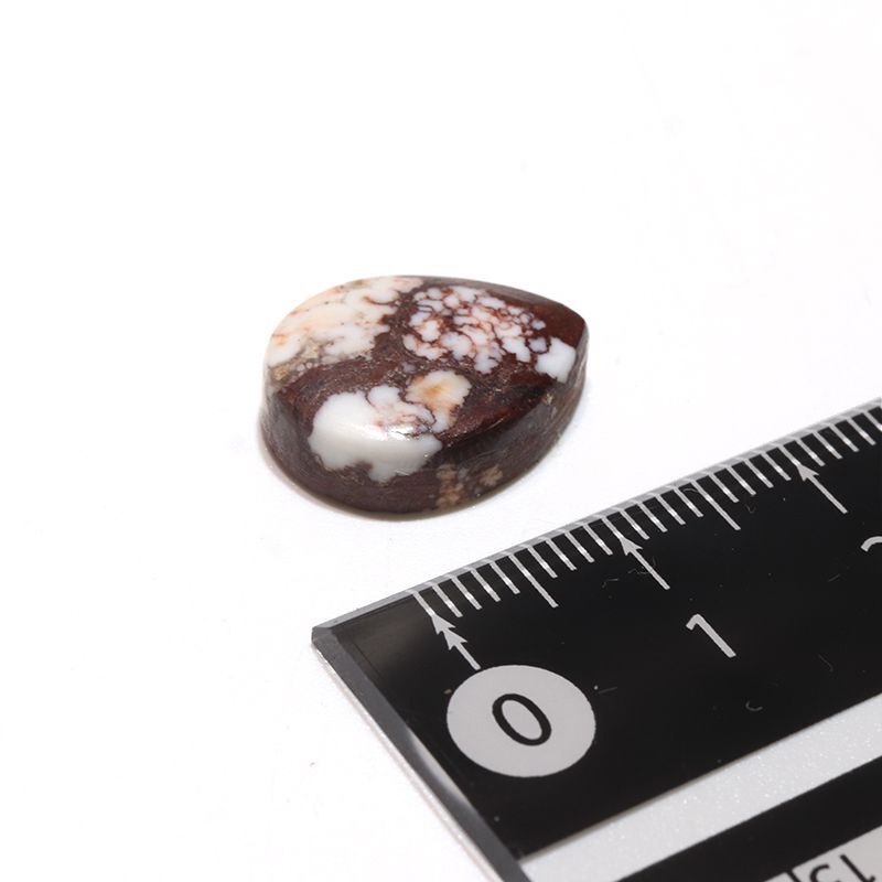約12×16mm