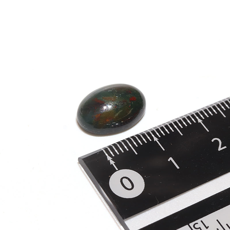 約10×14mm