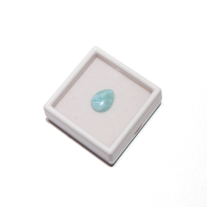 約12×16mm