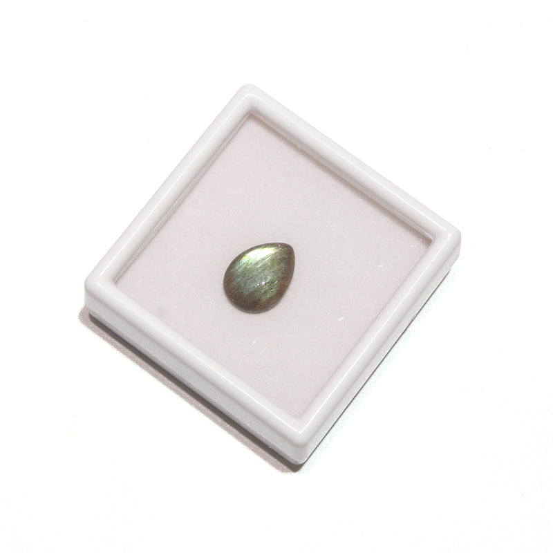約11×15mm