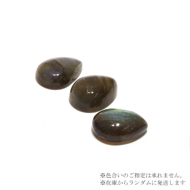 約11×15mm