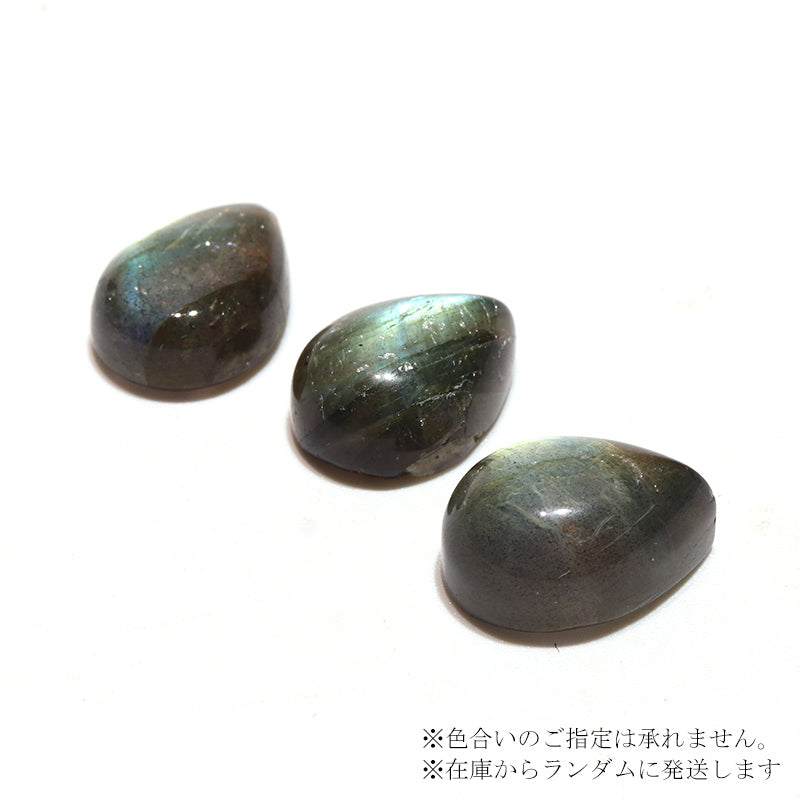 約10×14mm