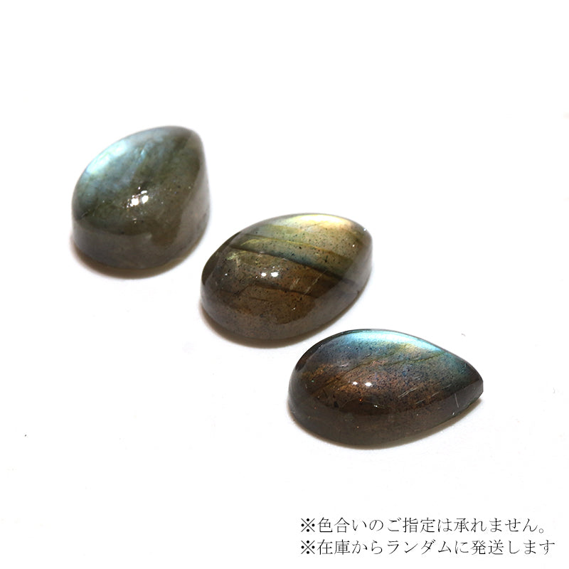 約8×12mm