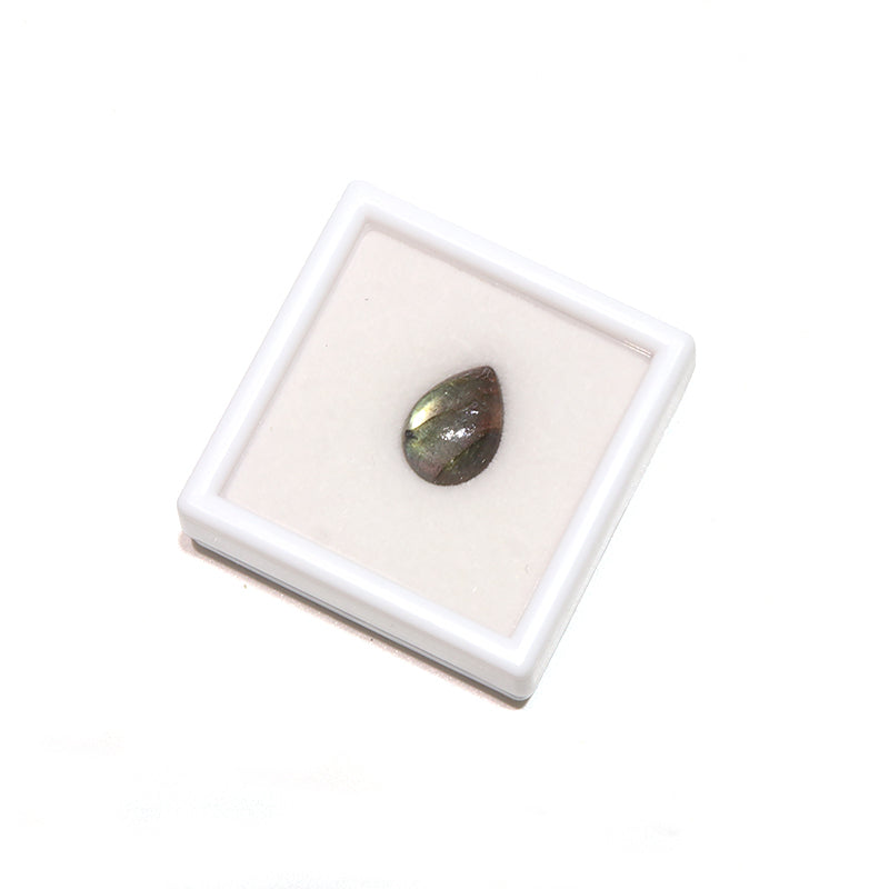 約10×14mm