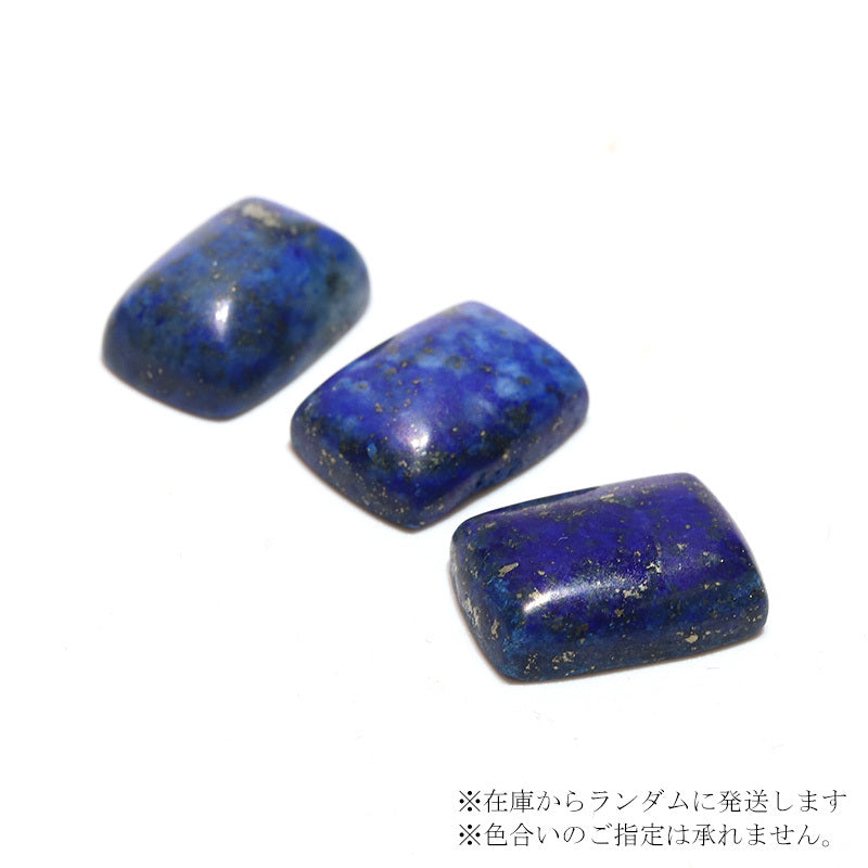 約10×14mm