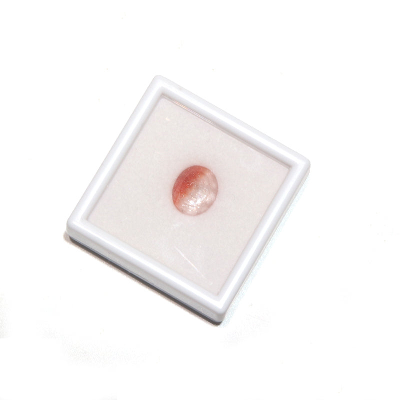 約10×12mm