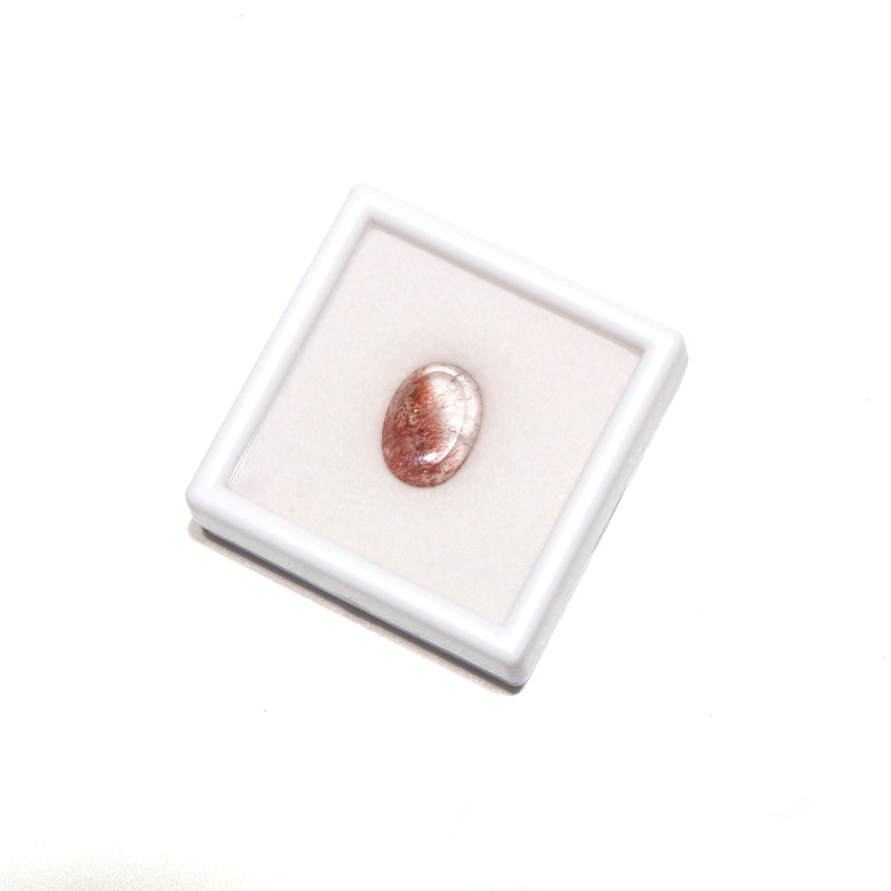 約10×14mm