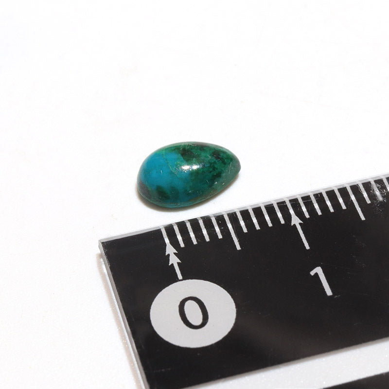 約5×8mm