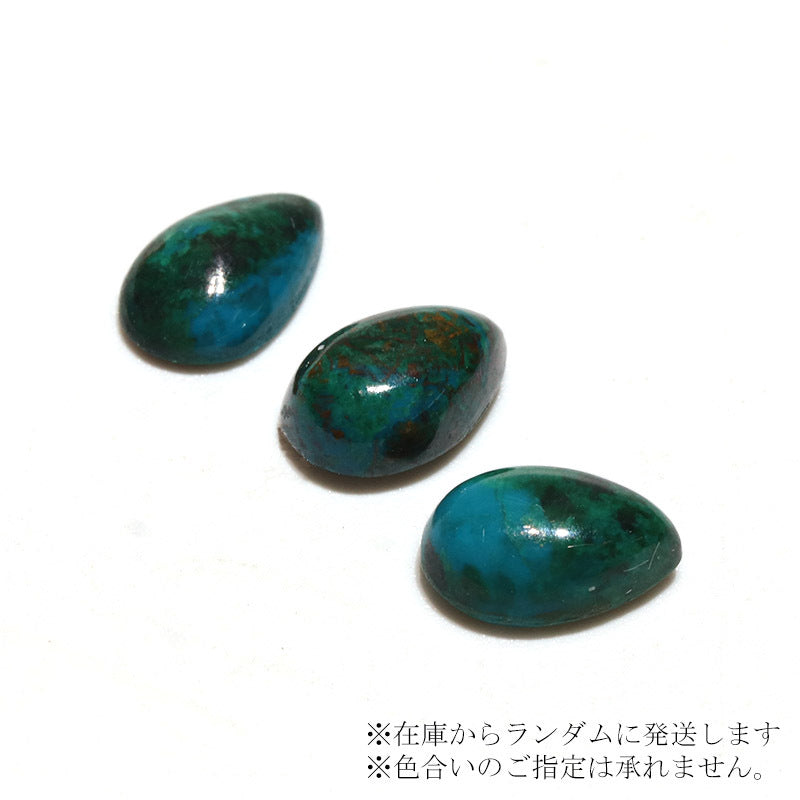 約5×8mm
