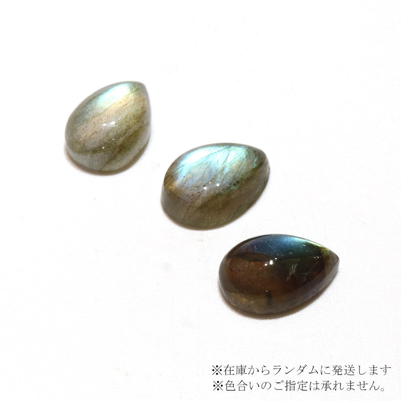 約7×10mm