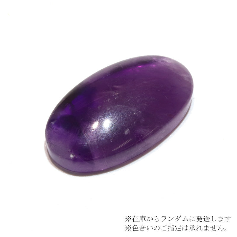 約19×33mm