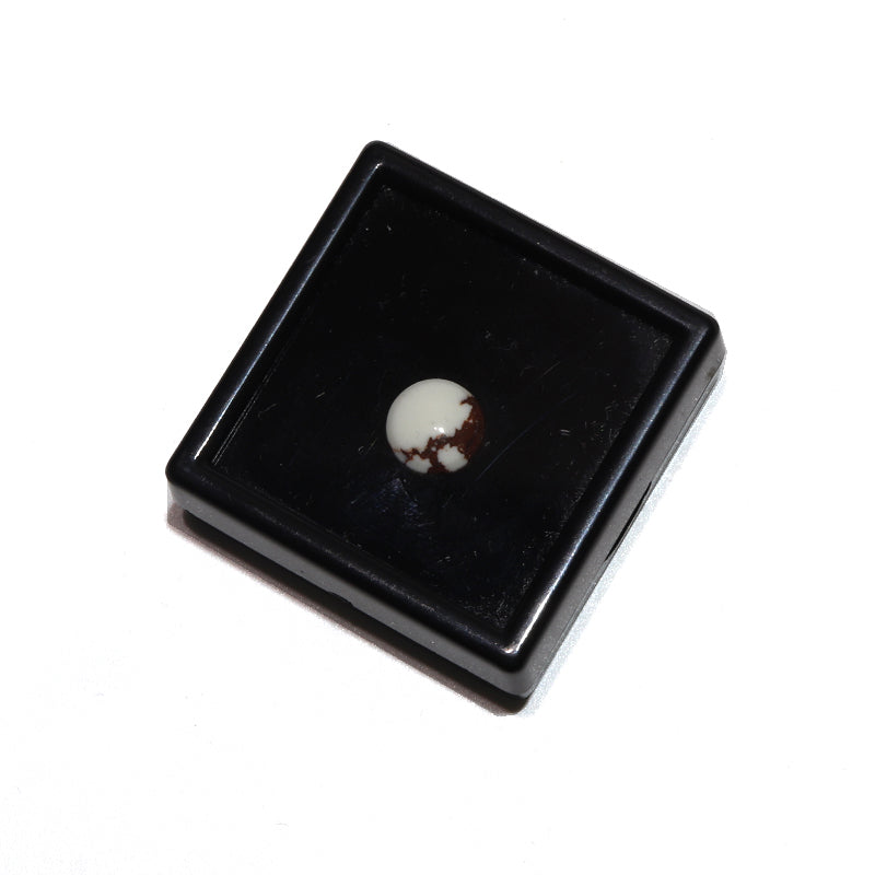 約10mm