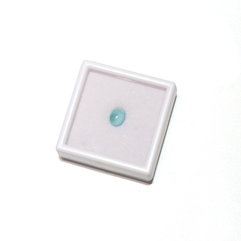 約6×8mm