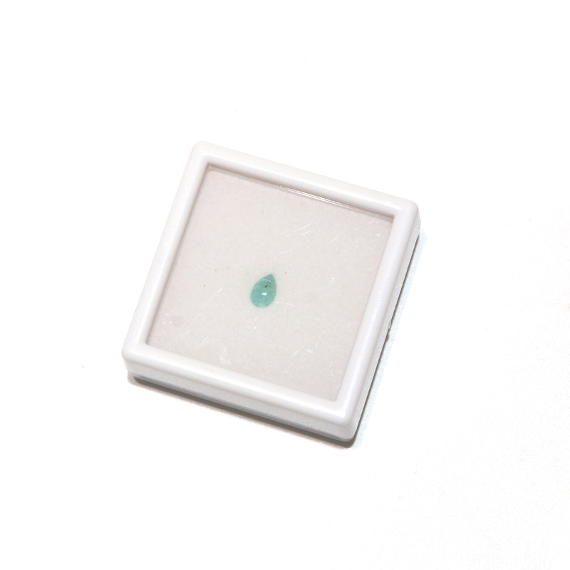 約4×6mm