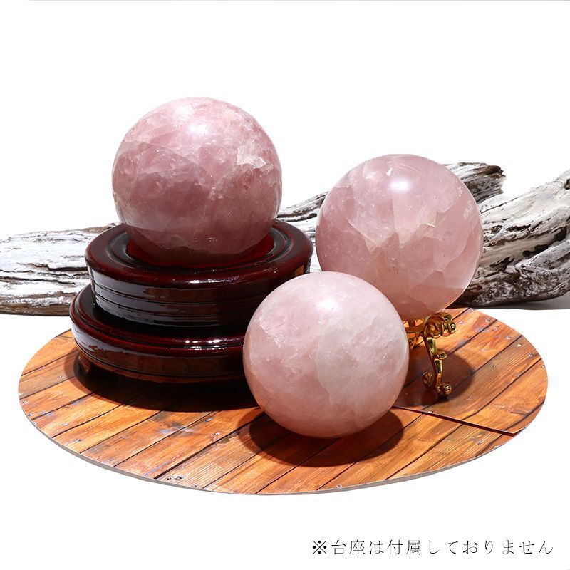 約8cm