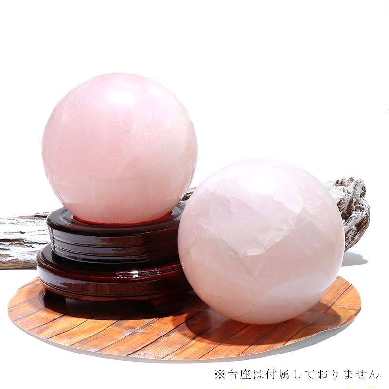 約12cm