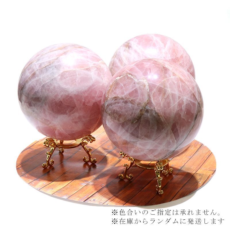 約13cm