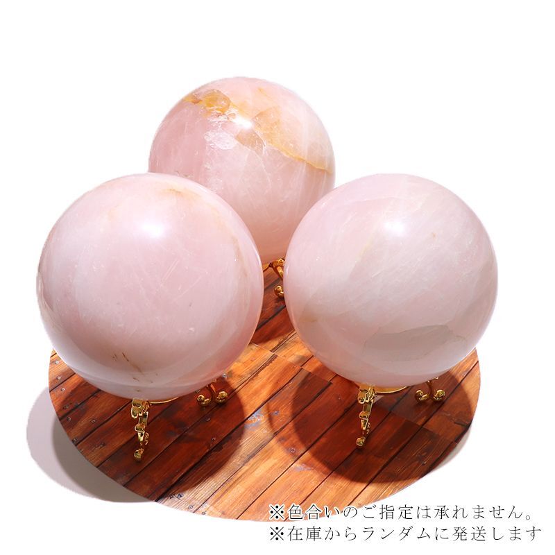 約12cm