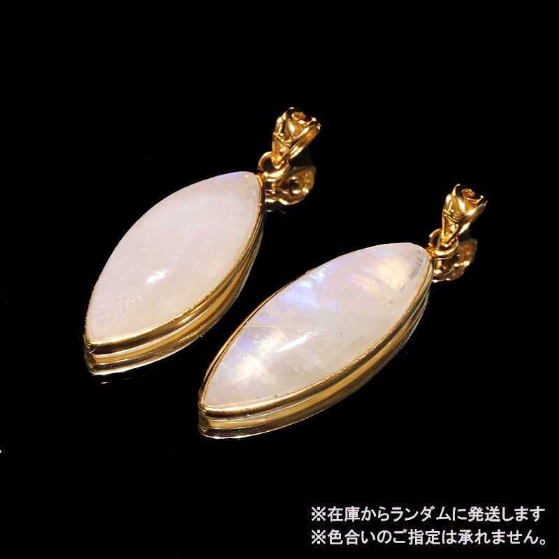 (B)約横11.5〜12.0mm×約縦25.2〜27.9mm