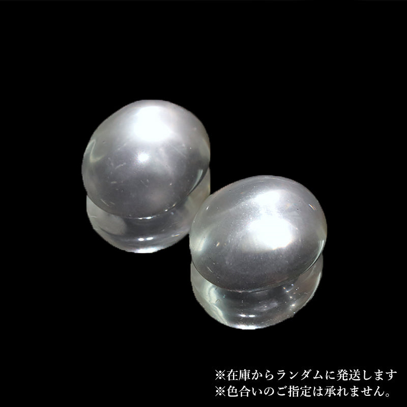 約11〜13×13〜14mm
