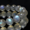 Bracelet Labradorite <Madagascar> Round [co-g1419]