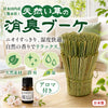 天然い草の消臭ブーケ　小 [co-g2521]