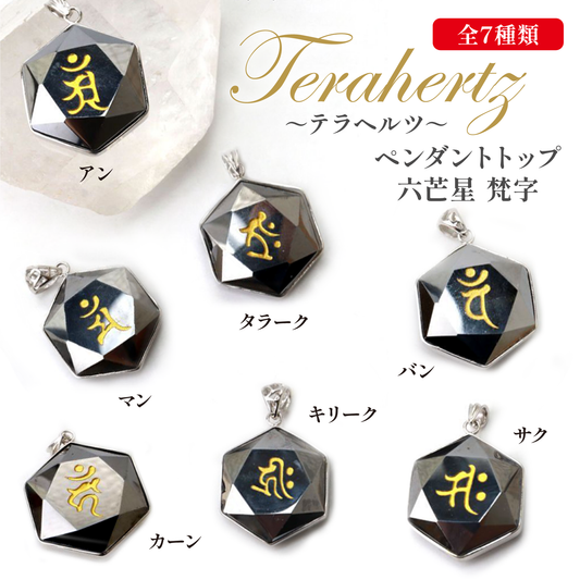 ペンダントトップ　テラヘルツ　六芒星　梵字　シルバー  [ac-g6009]