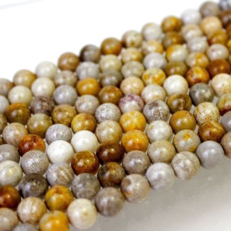 天然石 l フォッシルコーラル – 天然石卸ストーンクラブ