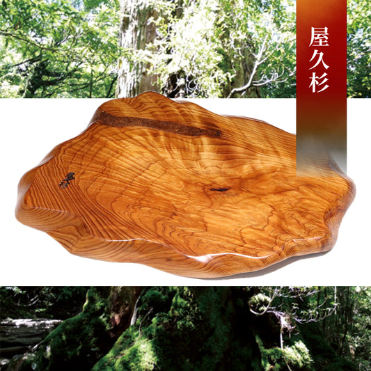 ディスプレイ・台座　屋久杉＜鹿児島県/屋久島産＞  [co-g2116]