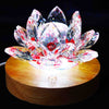 [No discount] Display interior lighting LED lamp, white, regular size [re-g0004]