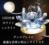 室内照明 LED 灯 白光 迷你尺寸 10 件套 [sb-g0123]
