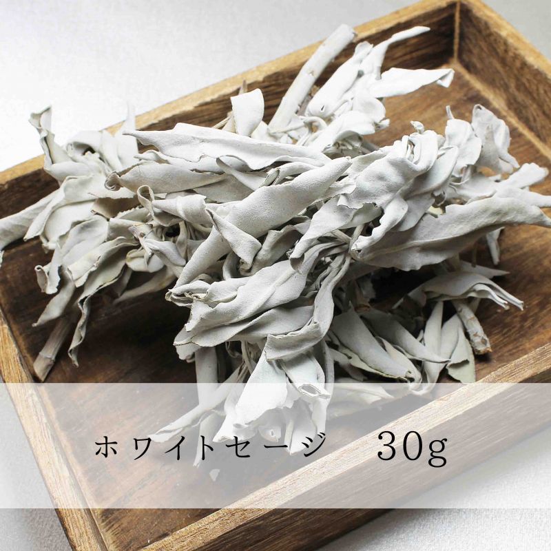 浄化　ホワイトセージ　＜アメリカ/カリフォルニア州産＞  [in-g3001]