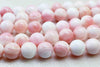 Queen Conch Shell, High Quality, Round [st-g0027]
