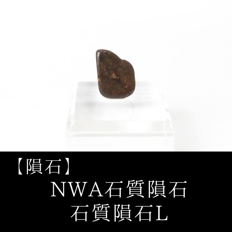 商品 – tagged 
