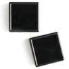 ルースケース　アクリル製　10個セット  [sb-g0075]
