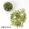 砾石，约 5g，盒装，10 件套 [gr-g0143]