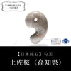 [Japanese Famous Stone] Magatama Tosa Sakura <Kochi Prefecture> Gray Approx. 30mm Made in Japan [ma-g8142]