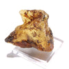Fossil Natural Amber <Madagascar> [rs-g2002]