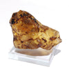 Fossil Natural Amber <Madagascar> [rs-g2002]
