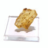 Fossil Natural Amber <Madagascar> [rs-g2002]