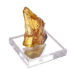 Fossil Natural Amber <Madagascar> [rs-g2002]