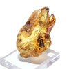 Fossil Natural Amber <Madagascar> [rs-g2002]