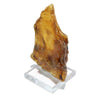 Fossil Natural Amber <Madagascar> [rs-g2002]
